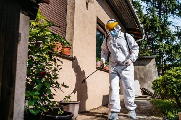 Best Termite Control Services  in West Park, CA