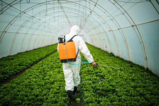 Best Pest Control Near Me  in West Park, CA