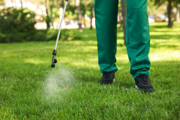 Best Termite Control Services  in West Park, CA