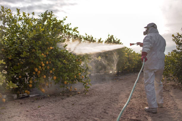 Pest Control for Restaurants in West Park, CA