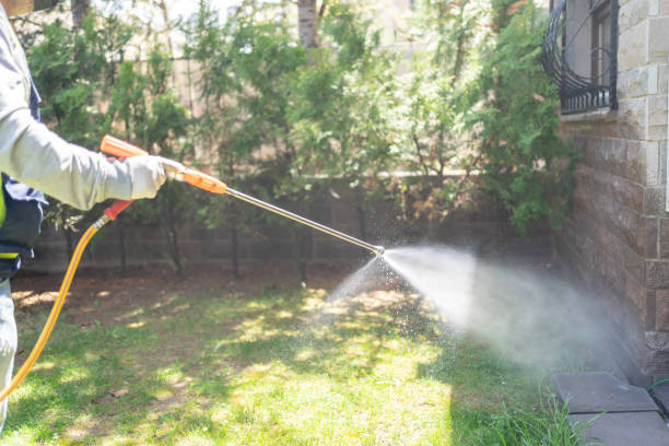 Best Affordable Pest Control Services  in West Park, CA