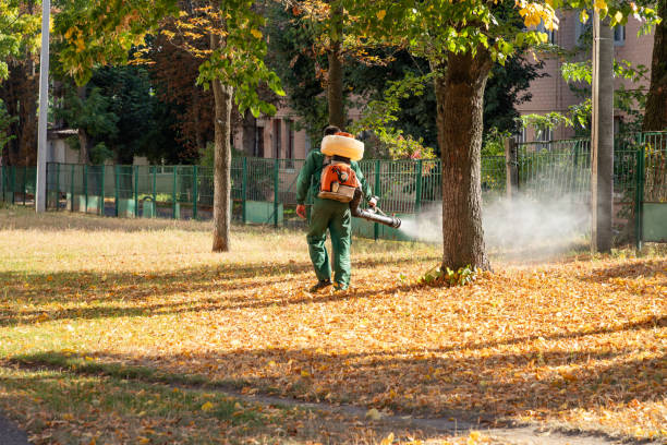 Best Affordable Pest Control Services  in West Park, CA