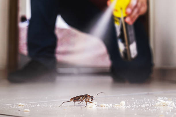 Best Residential Pest Control  in West Park, CA