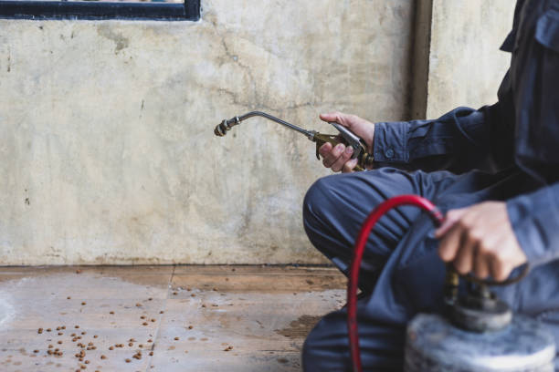 Best Best Pest Control Near Me  in West Park, CA